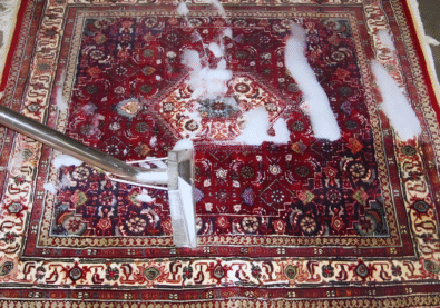 Carpet Cleaning Services