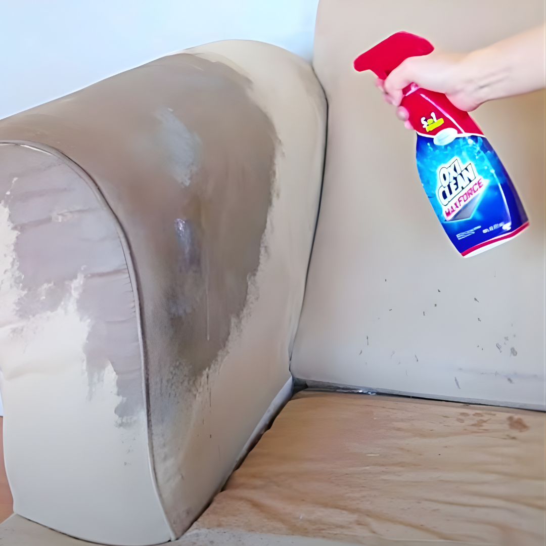 Sofa Cleaning Services